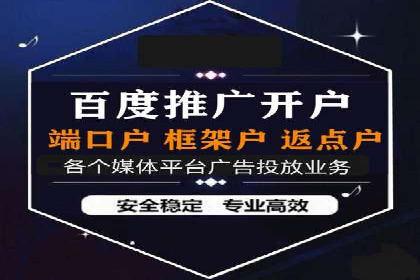 SEM运营公司经典案例点评